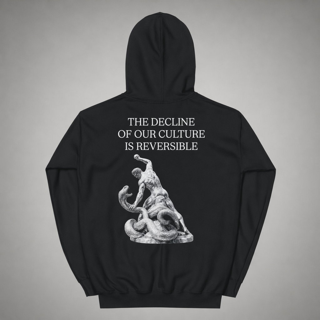 DECLINE HOODIE