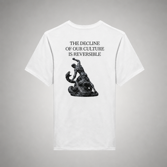 DECLINE TEE