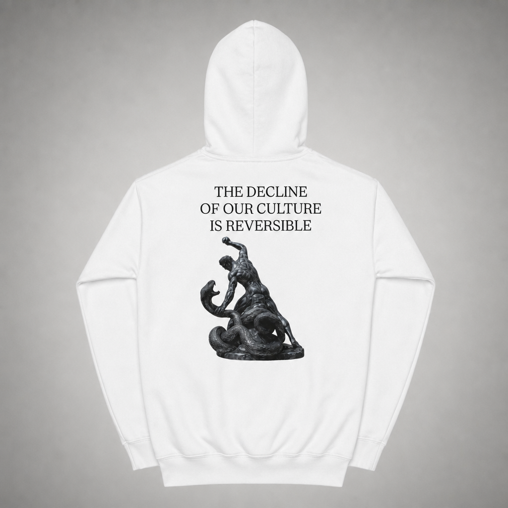 DECLINE HOODIE
