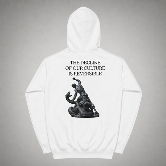 DECLINE HOODIE