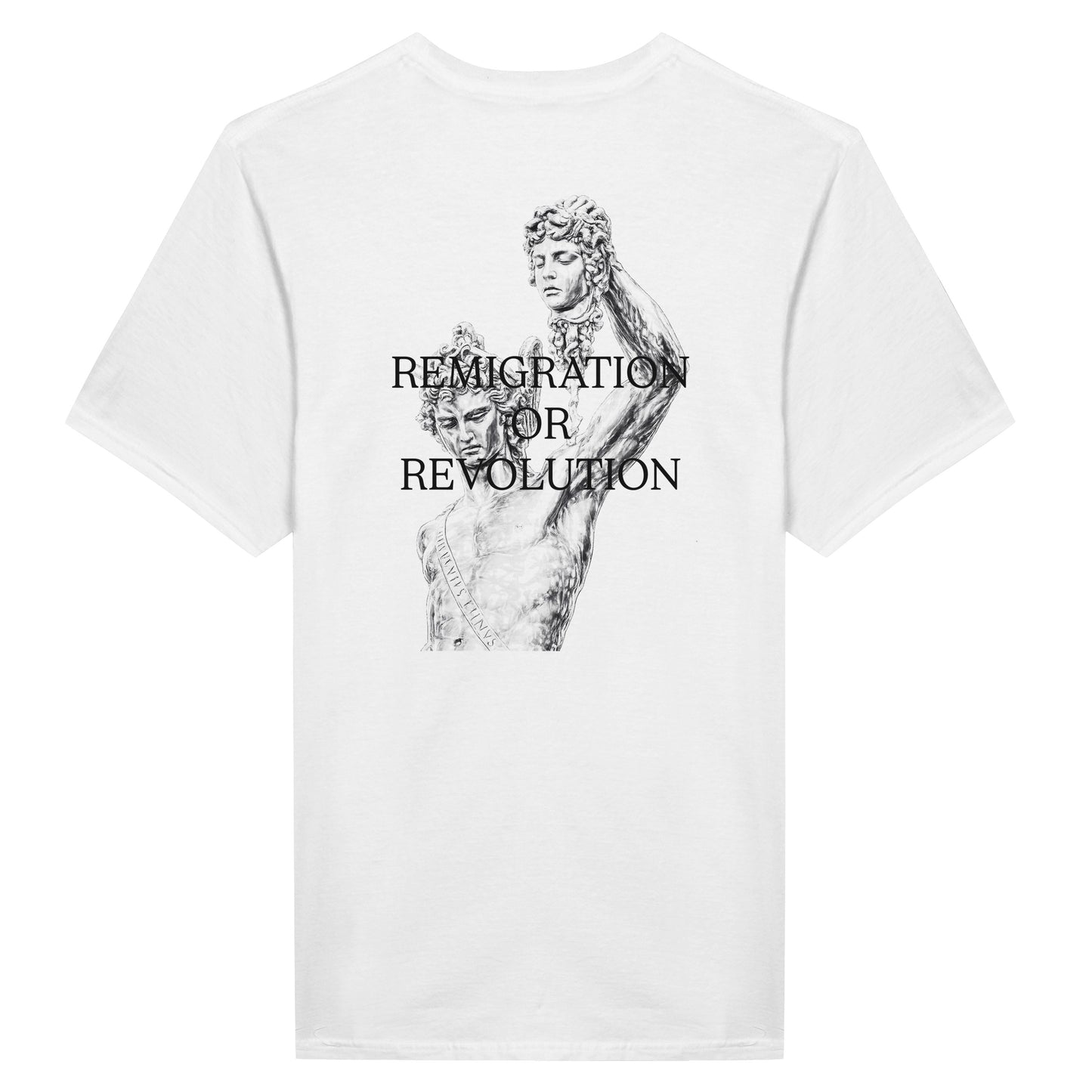REMIGRATION OR REVOLUTION TEE