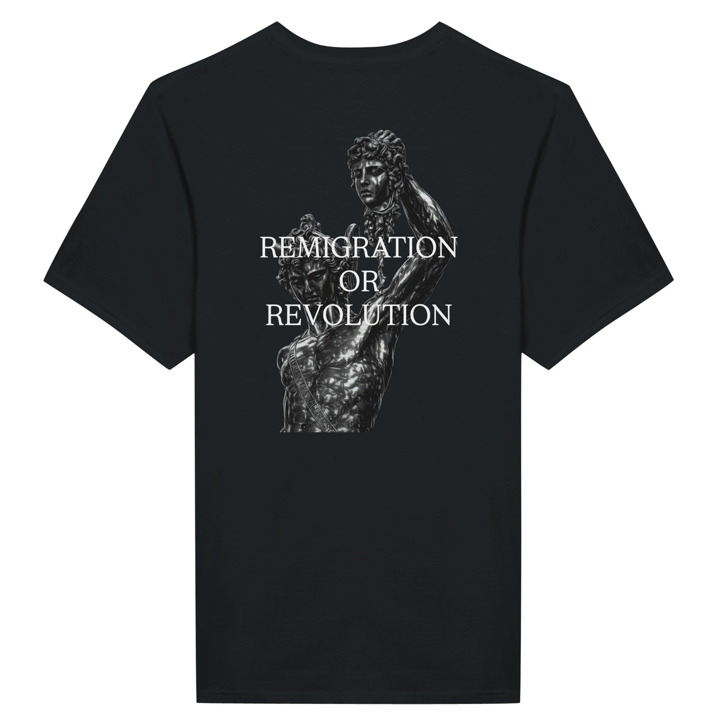REMIGRATION OR REVOLUTION TEE
